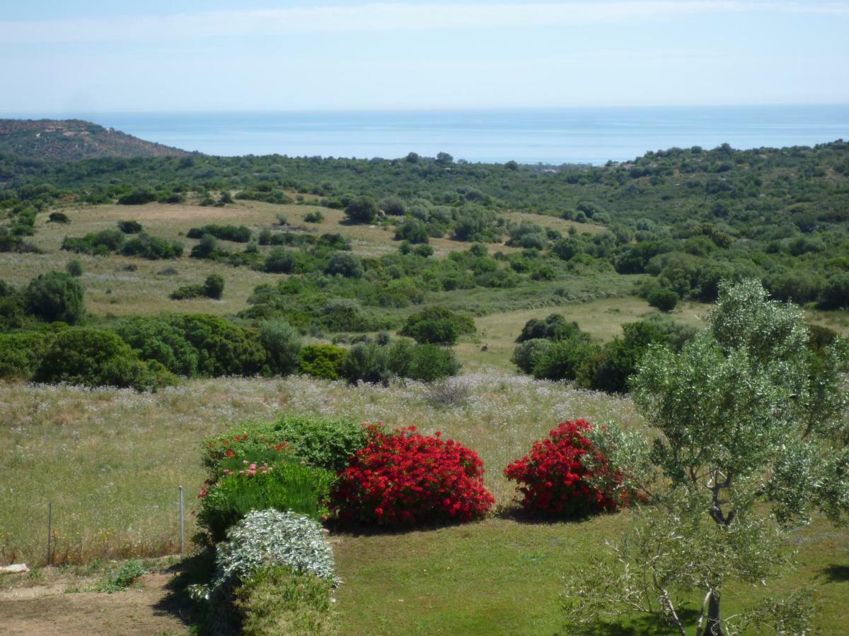 Fattoria Di Anja E Marco Villa Costa Rei Kültér fotó